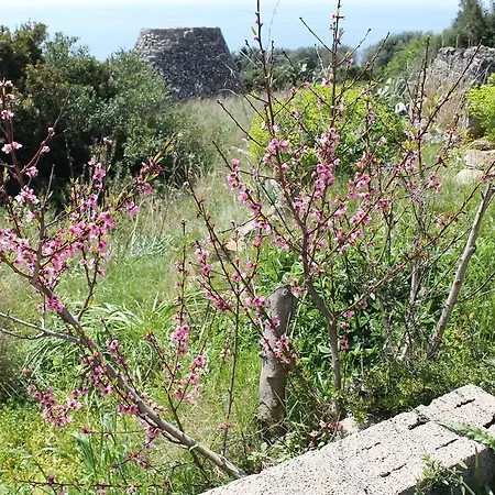 Contrada Monaci