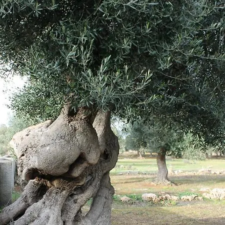 Contrada Monaci Casarano